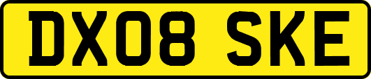 DX08SKE