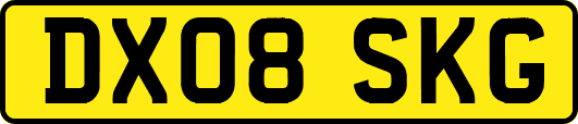 DX08SKG