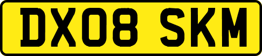 DX08SKM
