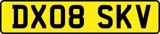DX08SKV