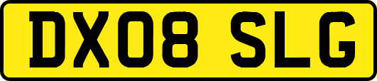 DX08SLG