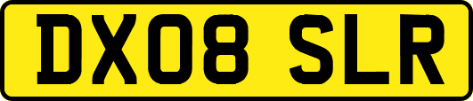 DX08SLR