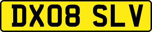 DX08SLV