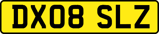 DX08SLZ