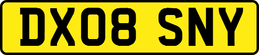 DX08SNY