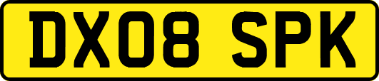 DX08SPK