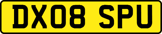 DX08SPU