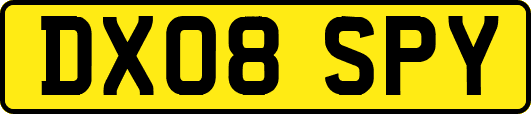 DX08SPY