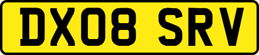 DX08SRV