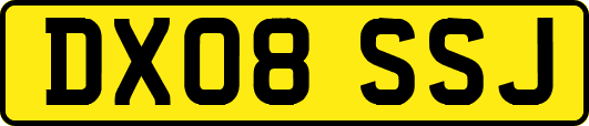 DX08SSJ