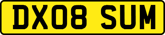 DX08SUM