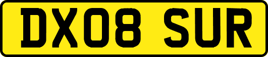 DX08SUR