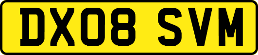 DX08SVM