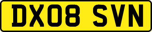 DX08SVN