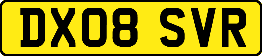 DX08SVR