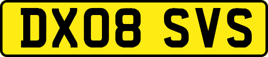 DX08SVS