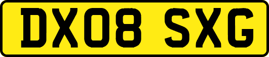 DX08SXG