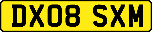 DX08SXM