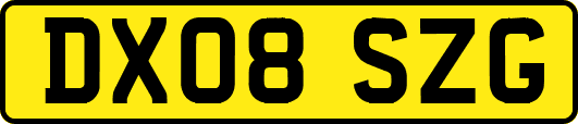 DX08SZG