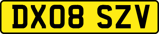 DX08SZV