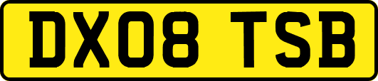 DX08TSB