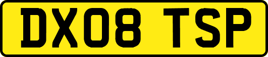 DX08TSP