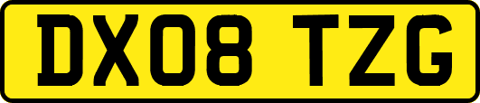 DX08TZG