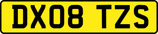 DX08TZS