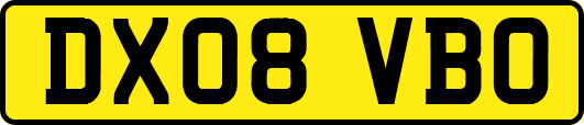 DX08VBO