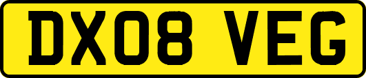 DX08VEG
