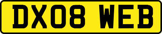 DX08WEB