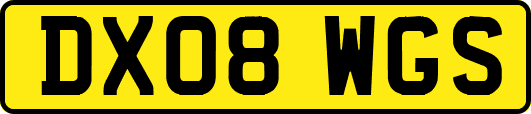 DX08WGS