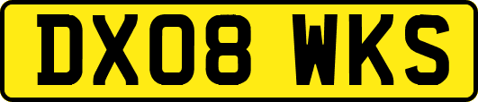 DX08WKS