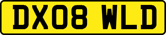 DX08WLD