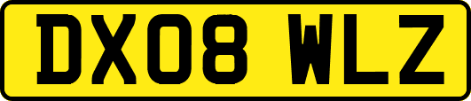DX08WLZ
