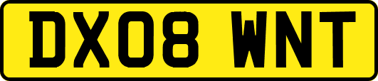 DX08WNT