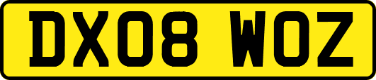 DX08WOZ