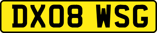 DX08WSG