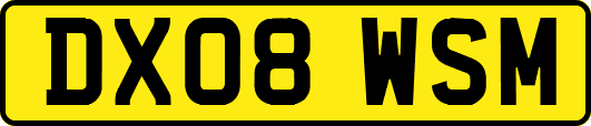 DX08WSM