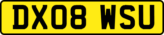 DX08WSU