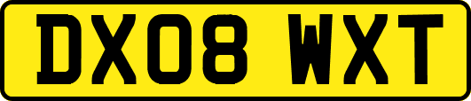 DX08WXT