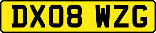 DX08WZG