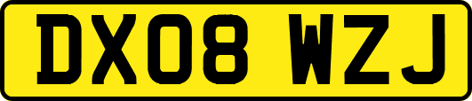 DX08WZJ