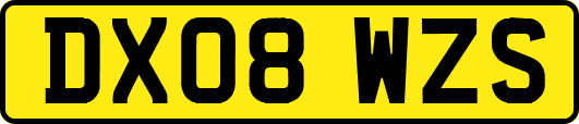 DX08WZS