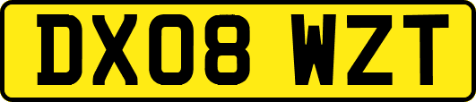 DX08WZT