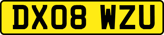 DX08WZU