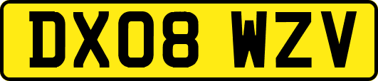 DX08WZV