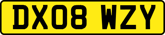 DX08WZY