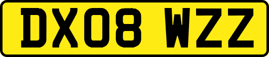 DX08WZZ