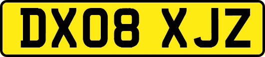DX08XJZ